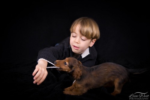 pittsburgh-family-pet-photographer-4