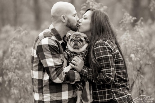 pittsburgh-family-pet-photographer-42