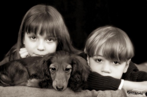 pittsburgh-family-pet-photographer-5