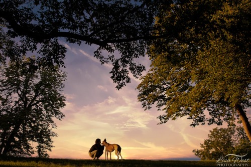 pittsburgh-family-pet-photographer-55