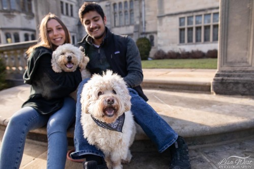 pittsburgh-family-pet-photographer-72