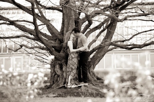 pittsburgh-engagement-photographer-phipps-consveratory-2