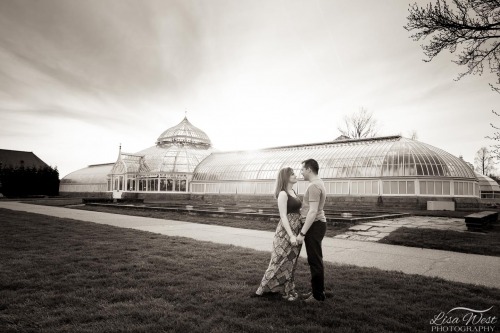 pittsburgh-engagement-photographer-phipps-consveratory-3