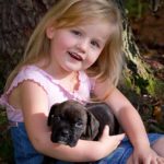 Top Pittsburgh Family Photographers