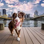 Best Pittsburgh Pet Photographers