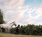 Pittsburgh horse photographer