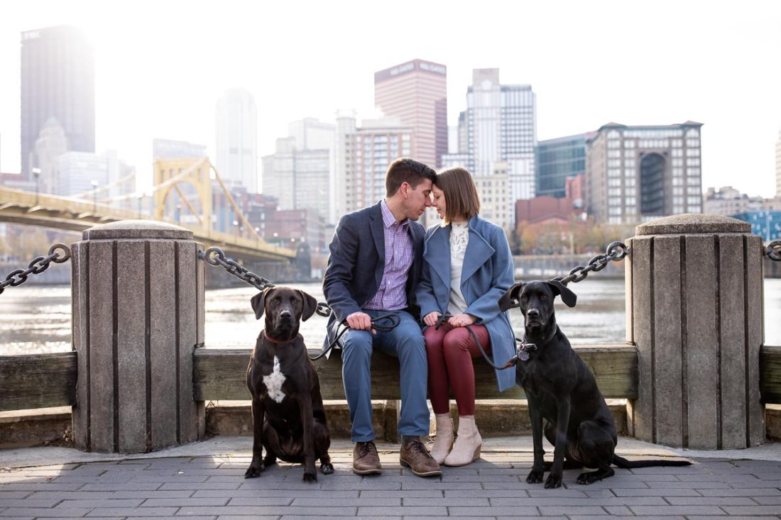 Pittsburgh pet photography